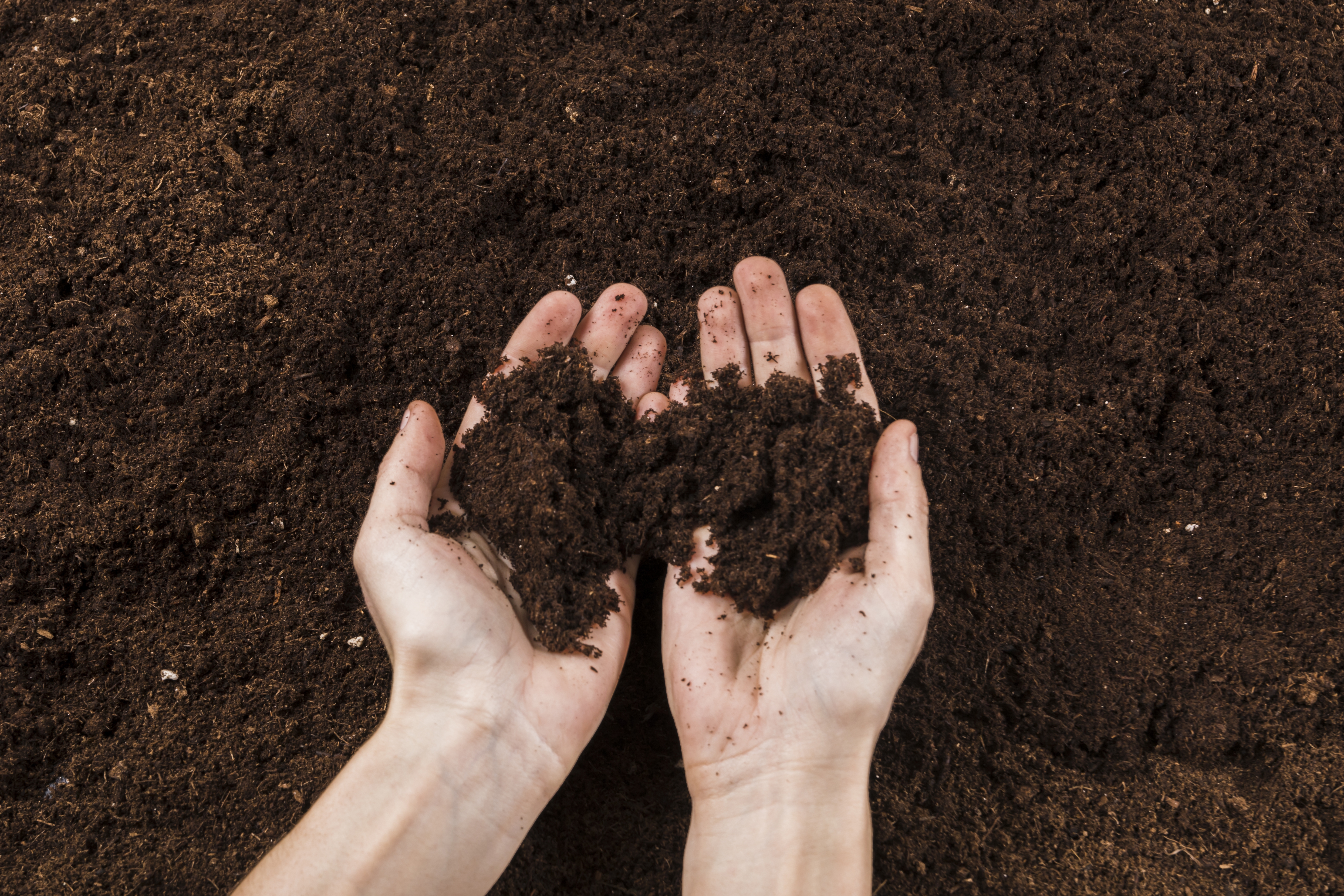 Comment se débarrasser des mauvaises herbes ? Univers Du Pro